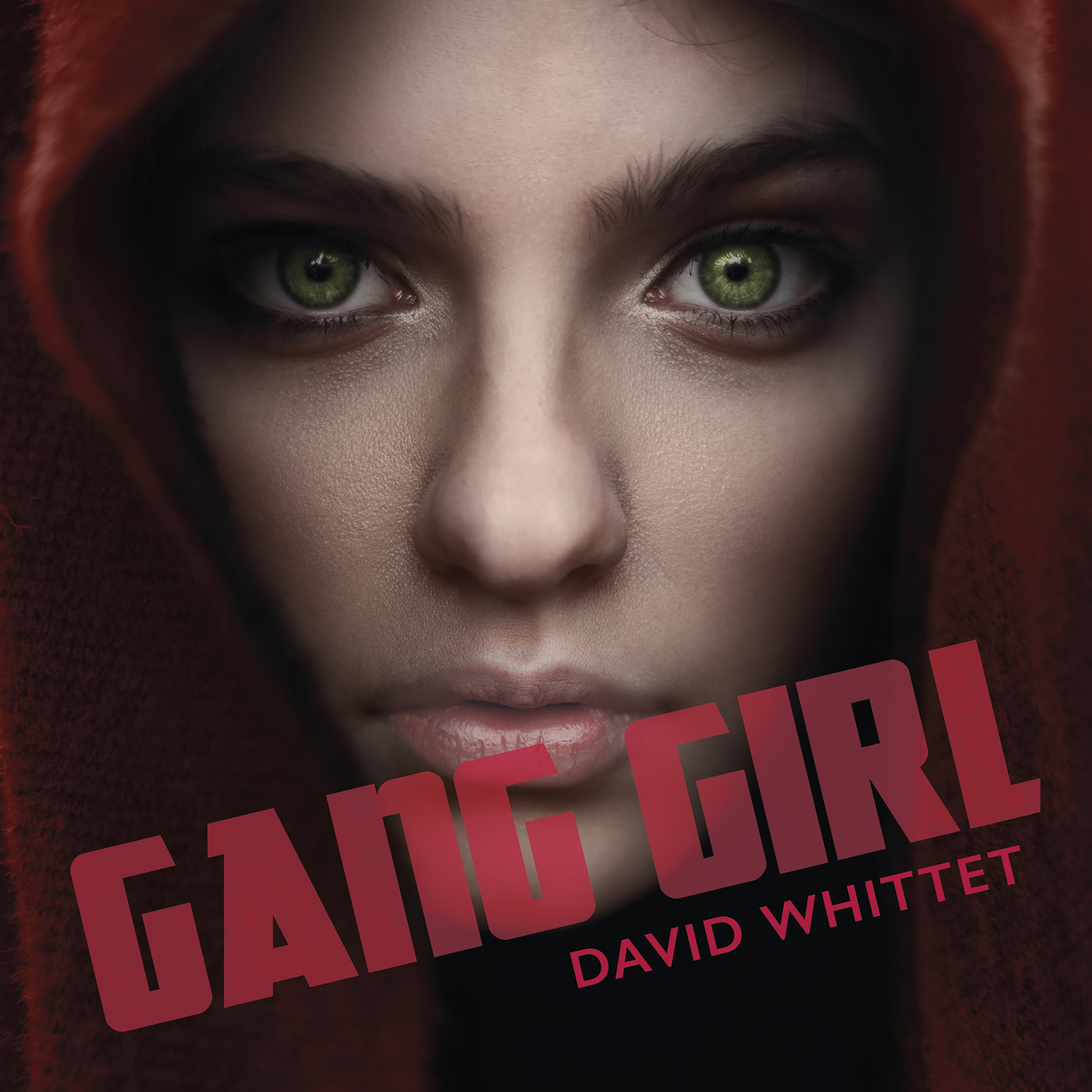 Gang Girl Audiobook